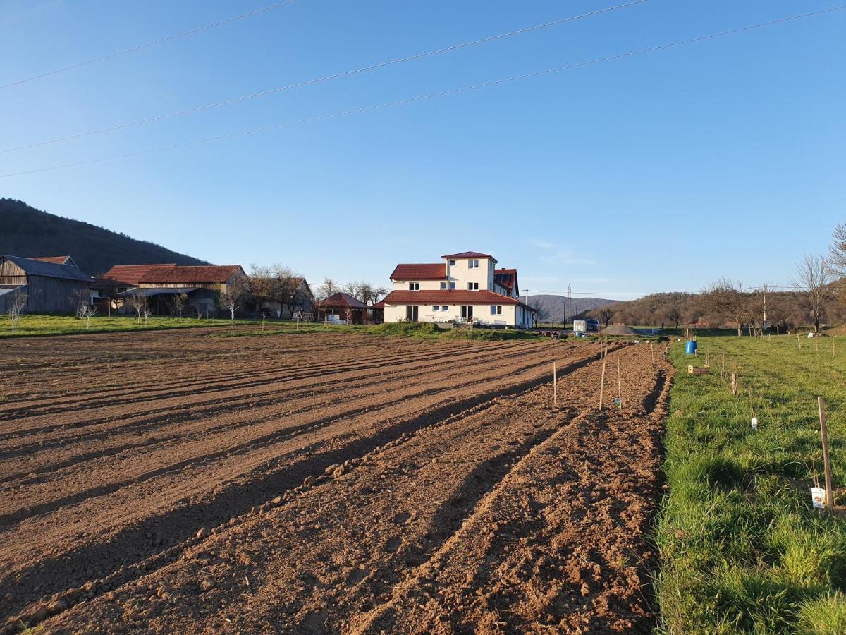 Apartmani Fenestra Tesla I Faust Otočac Zewnętrze zdjęcie